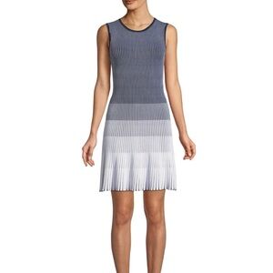 Shoshana Laidley Ribbed Knit Pleated Blue and White Ombre Dress
